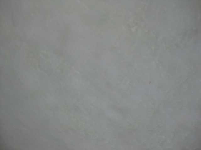 sq-sample37