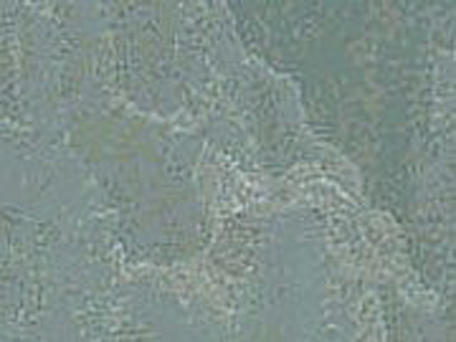 sq-sample37